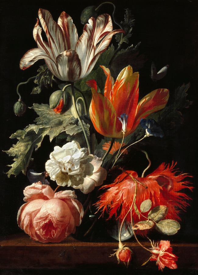 A Oxford la storia di come piante e fiori hanno cambiato il mondo