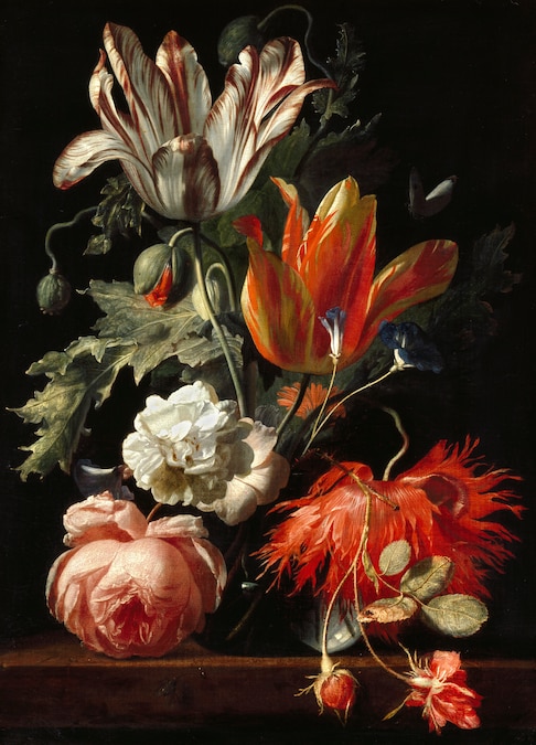 Verelst - Ashmolean Museum, University of Oxford (Bequeathed by Daisy Linda Ward, 1939.)