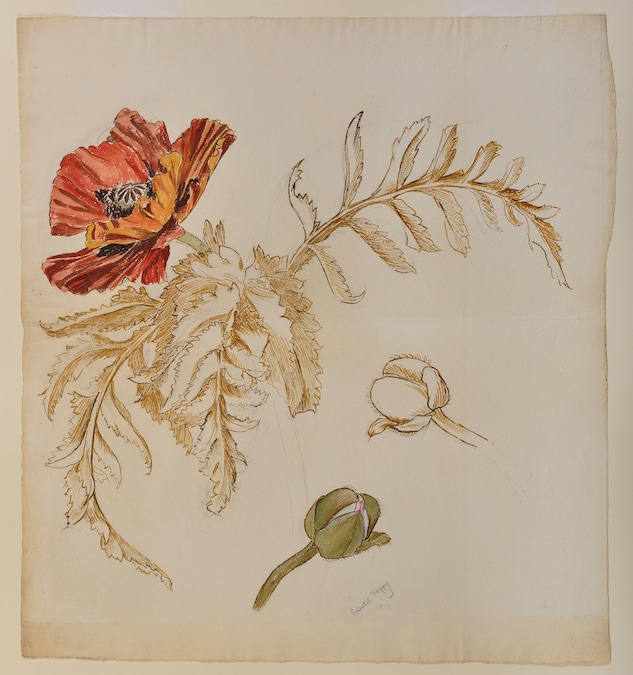May Morris - Ashmolean Museum, University of Oxford (Purchased, 1941.)