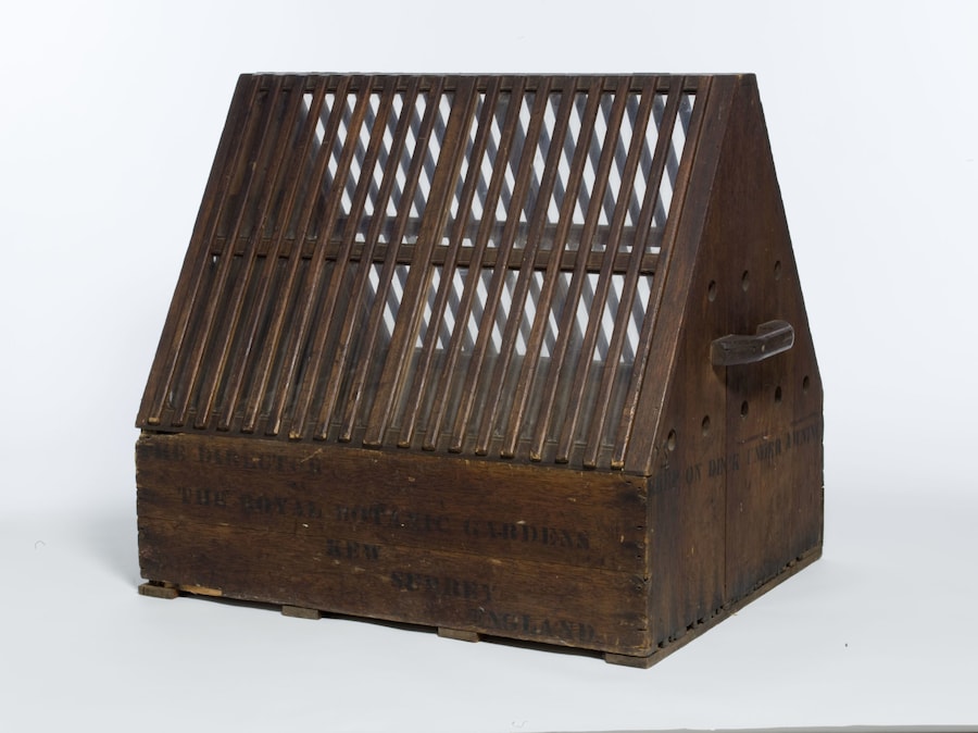 Wardian Case - Royal Botanic Gardens, Kew.