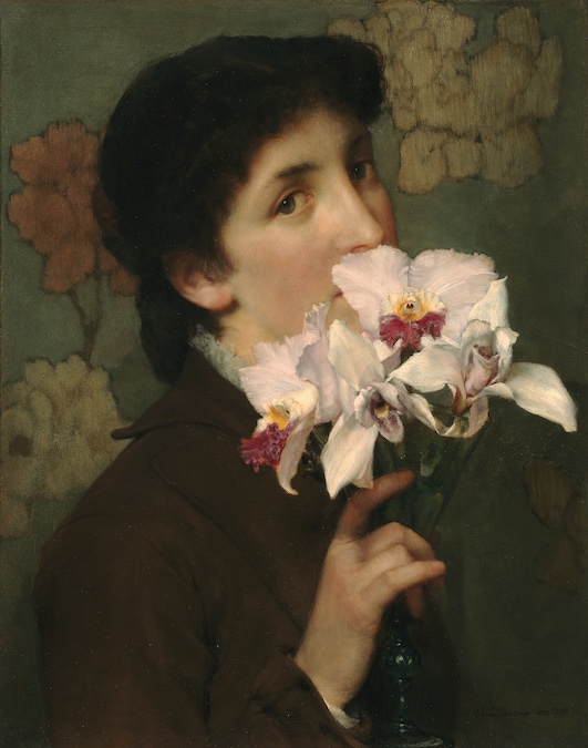 Orchids - Private Collection, USA, Richard Green Gallery, London