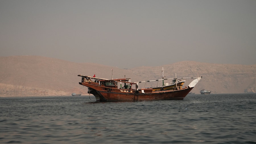 Navi nello Stretto di Hormuz, viste da Musandam, Oman, il 22 giugno 2026. (REUTERS)