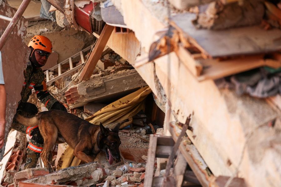 I soccorritori ricercano sopravvissuti in un edificio crollato in seguito a un terremoto a La Guaira, in Venezuela (REUTERS)