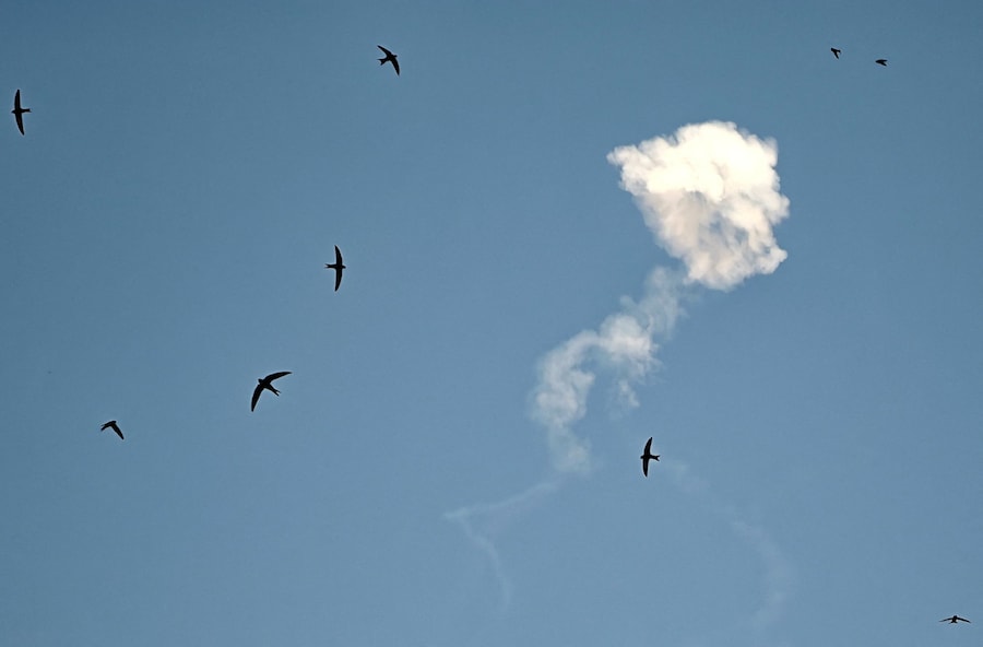 Il fumo di un missile russo abbattuto si alza sopra la città mentre alcuni uccelli volano nelle vicinanze durante un attacco missilistico russo a Kiev, Ucraina, il 25 giugno 2026. (REUTERS)