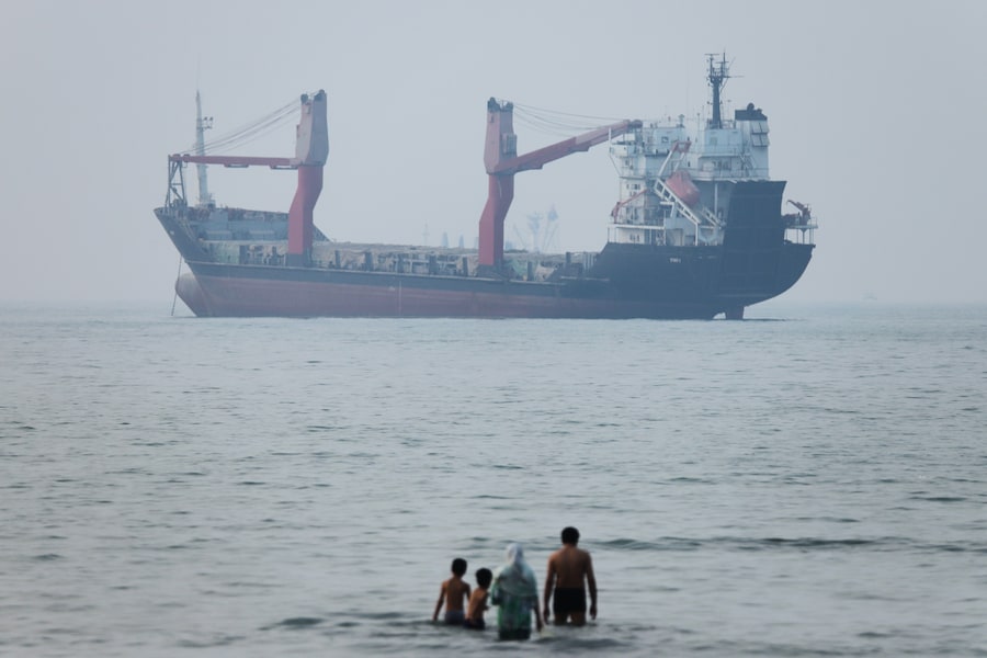Una nave da carico ancorata nello Stretto di Ormuz al largo di Bandar Abbas, in Iran, martedì 30 giugno 2026. (APN)
