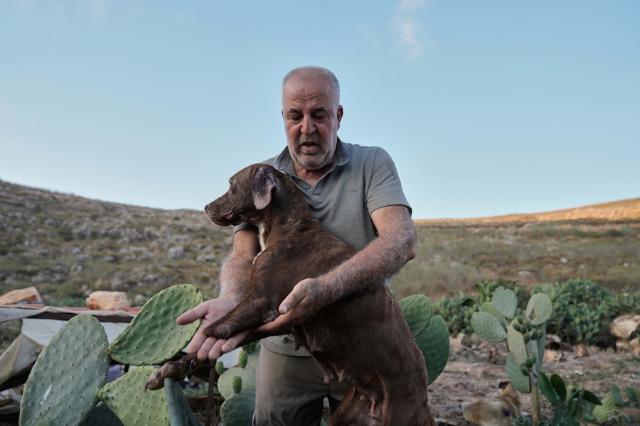 Hussein Hamza tiene in braccio un cane a cui manca un arto, abbandonato dai proprietari dopo che questi sono fuggiti in seguito allo scoppio dell’ultima guerra tra Israele e Hezbollah, nel suo rifugio per animali nel villaggio di Kfaroue, vicino a Nabatiyeh, nel Libano meridionale, giovedì 2 luglio 2026. (Foto AP/Bilal Hussein) (APN)