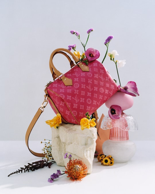 Bauletto Speedy 25 Monogram Anniversary in pelle e tela, LOUIS VUITTON (2.050 €).