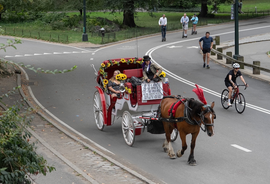 Una carrozza trainata da cavalli a Central Park a Manhattan, New York City. (Reuters)