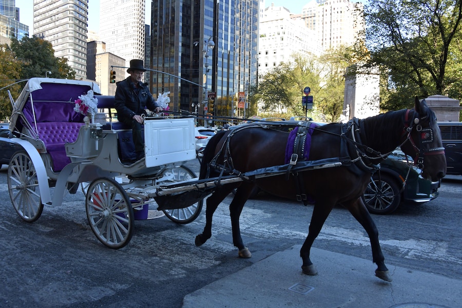 Una carrozza trainata da cavalli percorre una strada di New York, Stati Uniti. (Matrix Images/Kwak Kyung-keun vi)