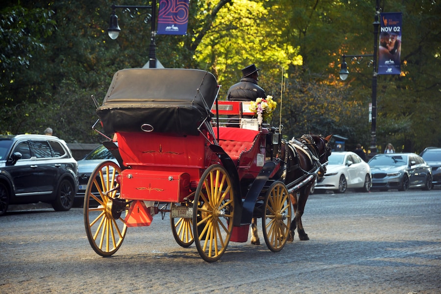 Una carrozza trainata da cavalli percorre una strada di New York, Stati Uniti. . Nei dintorni di Central Park, i visitatori possono anche trovare carrozze trainate da cavalli e risciò, che riflettono sia il fascino storico della città sia la moderna mobilità urbana. (Reuters)