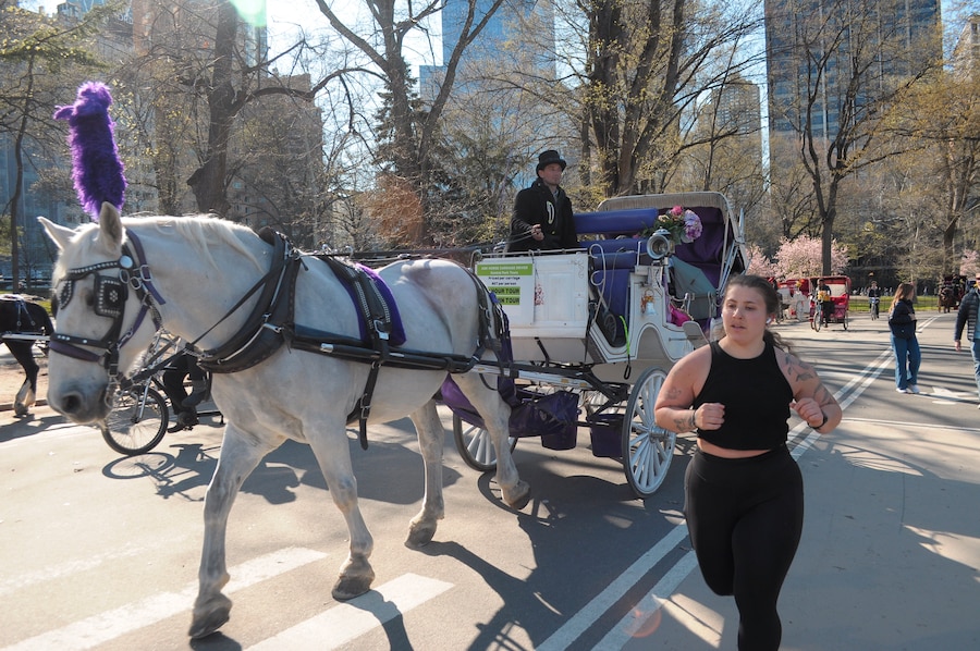 Central Park, a Manhattan, New York City. (Reuters)