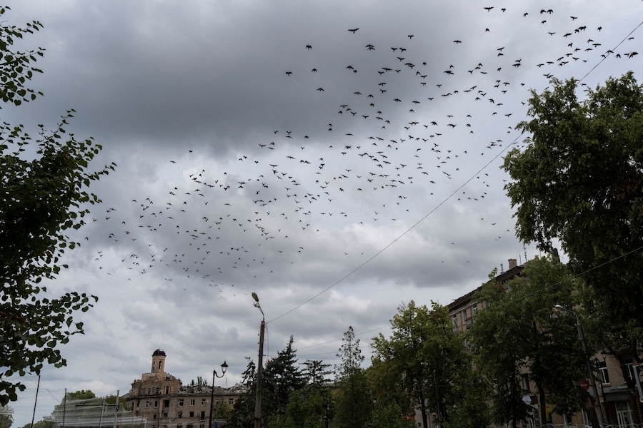 Uccelli volano sopra palazzi distrutti, mentre la Russia attacca l’Ucraina, nella città di Druzhkivka, in prima linea. (Iryna Rybakova/Ufficio stampa della 93ª Brigata meccanizzata separata “Kholodnyi Yar” delle Forze armate ucraine/Foto fornita tramite REUTERS)