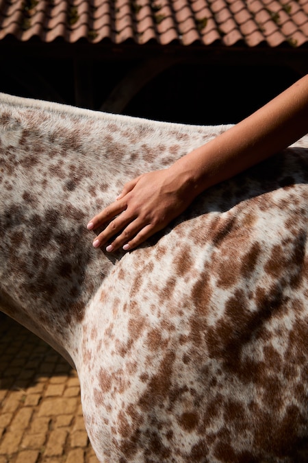 Stella McCartney HPOH Operation Centaur - Isabelle Hardy