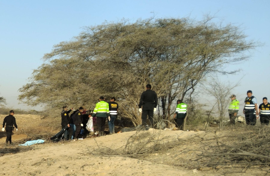 epa13146562 Members of the Peruvian Police work in the area where a small plane flying over the Nazca Lines crashed, killing at least 13 people, including 11 tourists, in the provincial municipality of Nazca, Peru, 01 August 2026. EPA/Victor Quilca BEST QUALITY AVAILABLE (EPA)