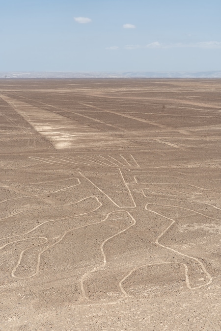 The Nazca Lines, created by pre-Inca peoples, are seen in the arid desert along the Peruvian coast on March 10, 2026. (Photo by Emanuele Roberto De Carli/NurPhoto)NO USE FRANCE (Emanuele Roberto De Carli via Re)