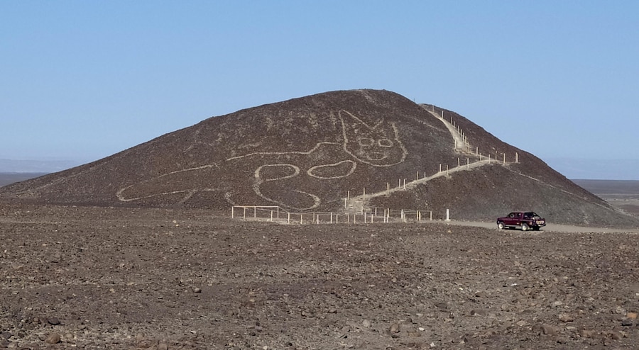 epa08751724 A handout photo made available by the Ministry of Culture of Peru shows the figure of a cat about 37 meters long drawn on a sandy hill in the Pampa de Nazca, Peru, 16 October 2020. A drawing of a cat about 37 meters long resting on a sandy hill is the new figure that the archaeologists of the Peruvian Ministry of Culture have found in the Pampa de Nazca, home of the famous geoglyphs that have been part of the UNESCO World Heritage list since 1994. EPA/Ministry of Culture of Peru / HANDOUT HANDOUT EDITORIAL USE ONLY/NO SALES (EPA)