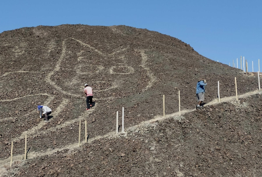 epa08751725 A handout photo made available by the Ministry of Culture of Peru shows the figure of a cat about 37 meters long drawn on a sandy hill in the Pampa de Nazca, Peru, 16 October 2020. A drawing of a cat about 37 meters long resting on a sandy hill is the new figure that the archaeologists of the Peruvian Ministry of Culture have found in the Pampa de Nazca, home of the famous geoglyphs that have been part of the UNESCO World Heritage list since 1994. EPA/Ministry of Culture of Peru / HANDOUT HANDOUT EDITORIAL USE ONLY/NO SALES (EPA)