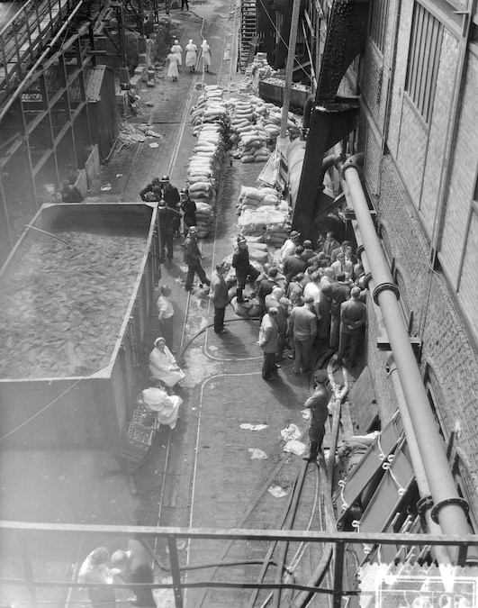 Disastro al Bois du Caizier, Marcinelle, Belgio. Panoramica dei soccorritori Data: 9 agosto 1956 (Alamy Stock Photo)