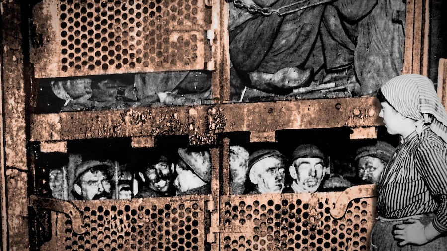 Un'immagine del documentario "Il fiore delle terre nere - Marcinelle 70 anni dopo", scritto e diretto da Salvatore Braca, prodotto da Pandataria (ANSA)