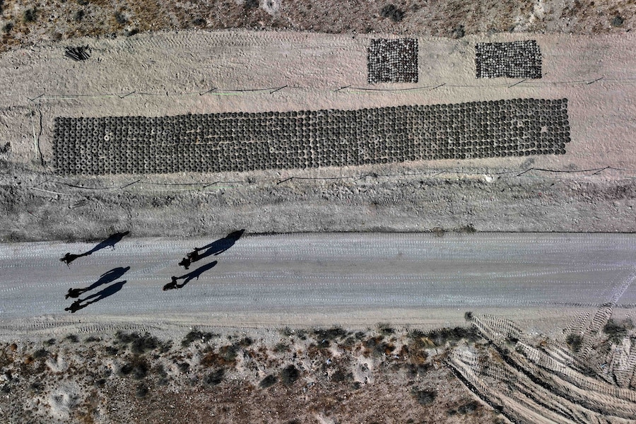 Le mine terrestri raccolte per essere distrutte sono disposte in file mentre i membri di una squadra del genio dell’esercito siriano conducono un’operazione di sminamento dei campi minati abbandonati durante la guerra a Qara, nella campagna di Damasco, in Siria, venerdì 7 agosto 2026. (Foto AP/Ghaith Alsayed) (APN)