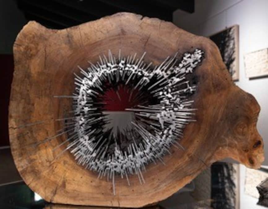 Jacopo Mandich Sezione Legno e ferro 2025 57x43x15 cm  € 5.500