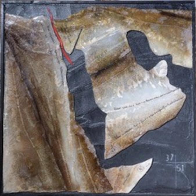 Gianni Depaoli Derive Suez 02 tecnica mista su cemento, pigmento, reperti organici marini, resina 60x60 cm 2026 € 1.800 Derive