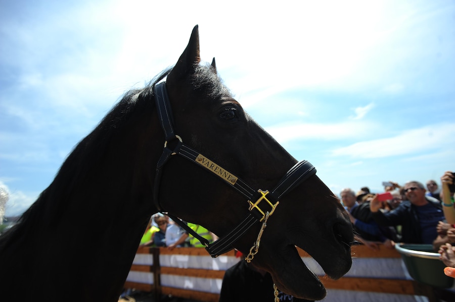Napoli 30 04 2016 Il cavallo Varenne alla Rotonza Diaz (Italy Photo Press)