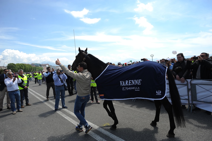 Napoli 30 04 2016 Il cavallo Varenne alla Rotonza Diaz (IPP)