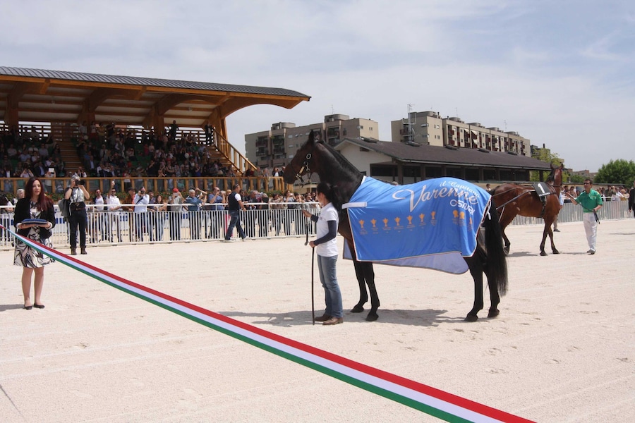 Varenne, testimonial per l'inaugurazione del nuovo ippodromo di Maura a San Siro, Milano, 9 maggio 2015 (ANSA)