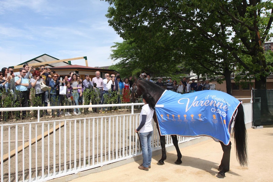 Varenne, testimonial in occasione dell'inaugurazione del nuovo ippodromo di Maura a San Siro, Milano, 9 maggio 2015 (ANSA)