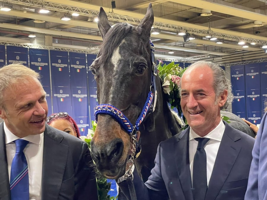 Luca Zaia durante la visita al cavallo campione Varenne presso lo stand del Ministero delle Politiche Agricole a Fieracavalli di Verona, 9 novembre 2023 (ANSA)