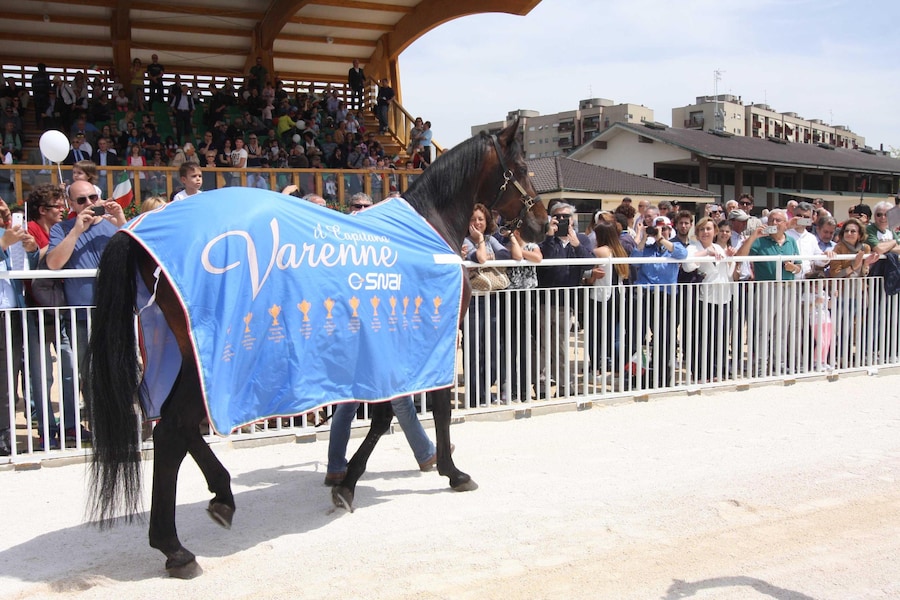Varenne, testimonial in occasione dell'inaugurazione del nuovo ippodromo di Maura a San Siro, Milano 9 maggio 2015 (ANSA)