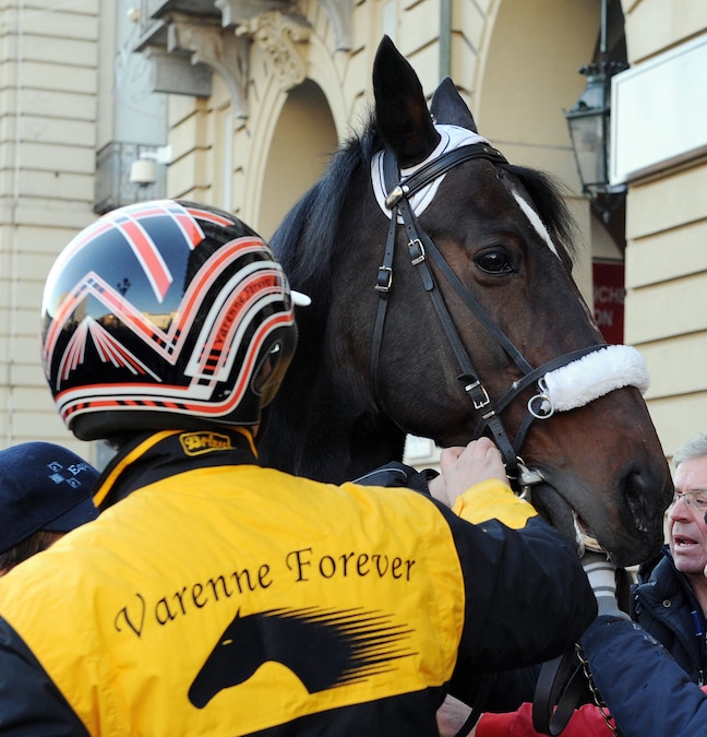 Il cavallo Varenne durante la sfilata, 04 dicembre 2010 in piazza Castello a Torino, nell'ambito della festa per l'apertura dello spazio informativo “La voce del cavallo” (ANSA)