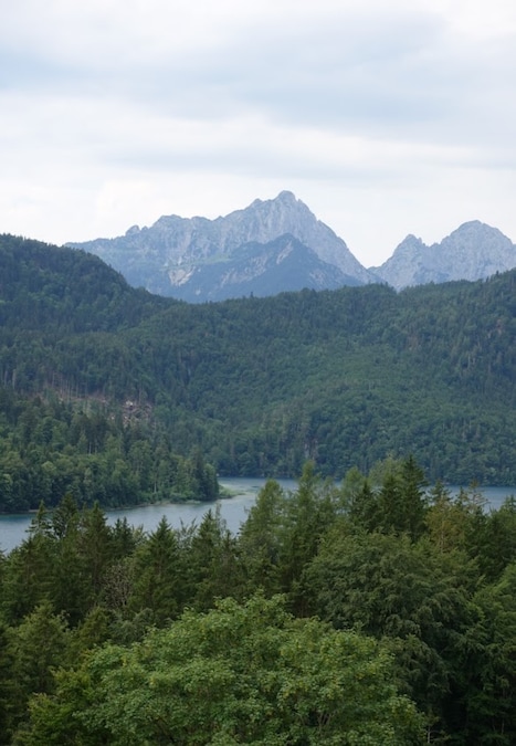 Le Alpi bavaresi dal castello di Neuschwanstein