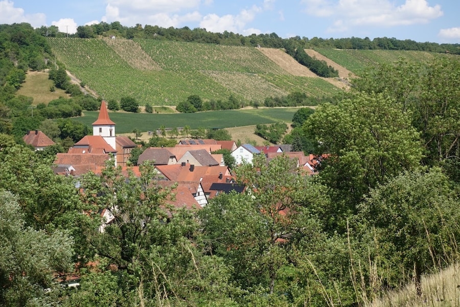 Vigneti lungo il fiume Tauber