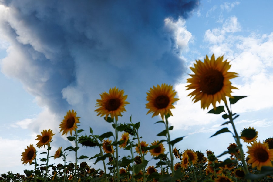 Il fumo proveniente da un magazzino, colpito da un attacco con droni russi, si alza vicino a un campo di girasoli, nella regione di Kiev. (REUTERS/Valentyn Ogirenko)