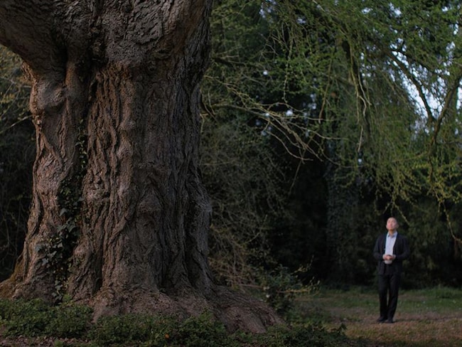“Silent Friend” e gli altri film della settimana