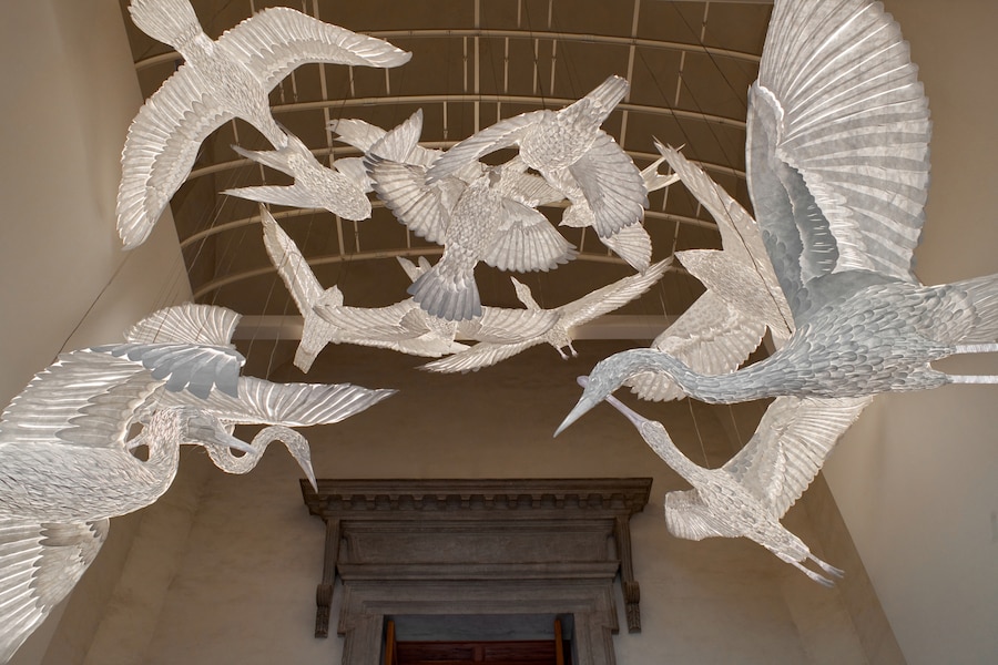 A Luminous Ark (Giulio Ghirardi Michelangelo Foundation)