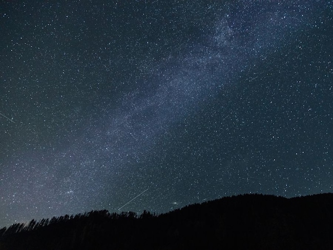 La Foresta delle stelle