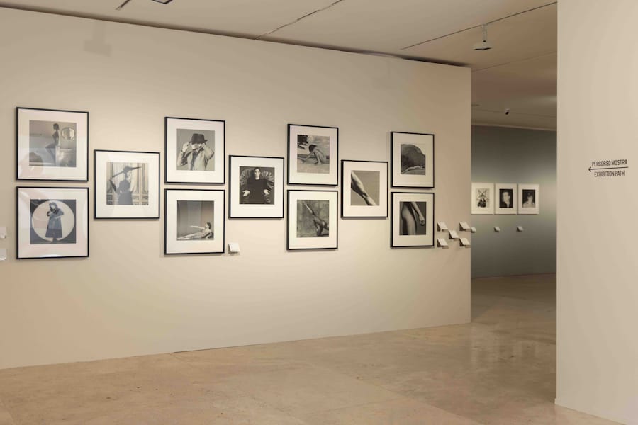 AraPacis Robert Mapplethorpe (Wps)