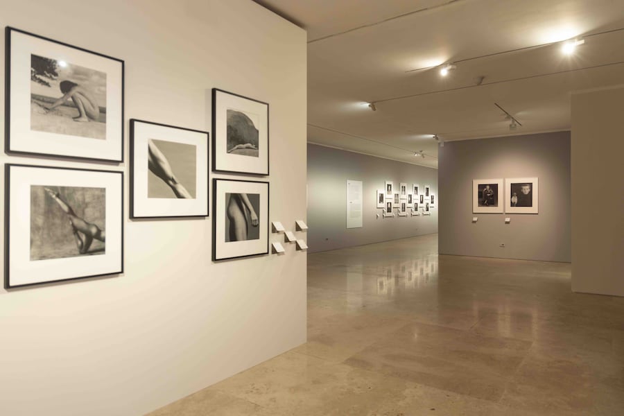 AraPacis_Robert Mapplethorpe (Wps)