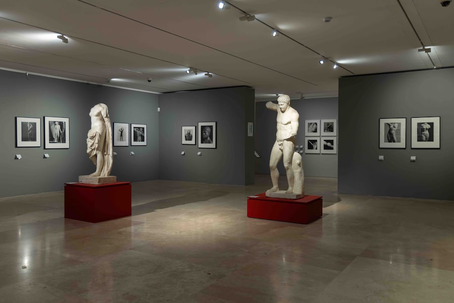 AraPacis_Robert Mapplethorpe (Wps)