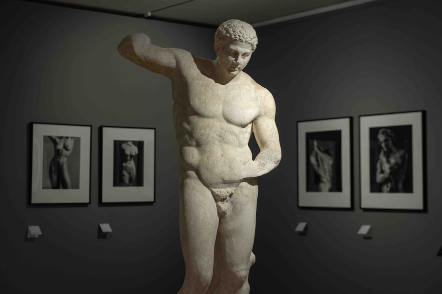 AraPacis_Robert Mapplethorpe (Wps)