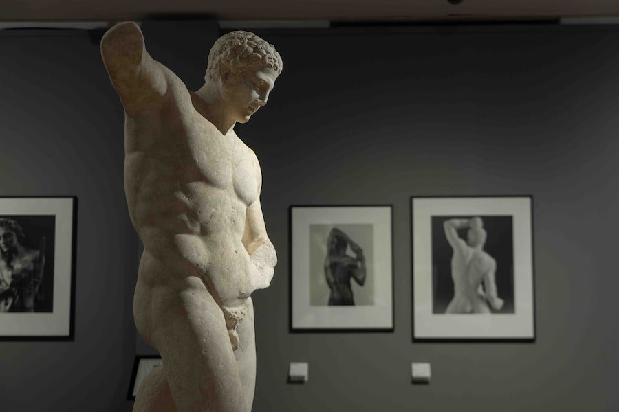 AraPacis_Robert Mapplethorpe (Wps)