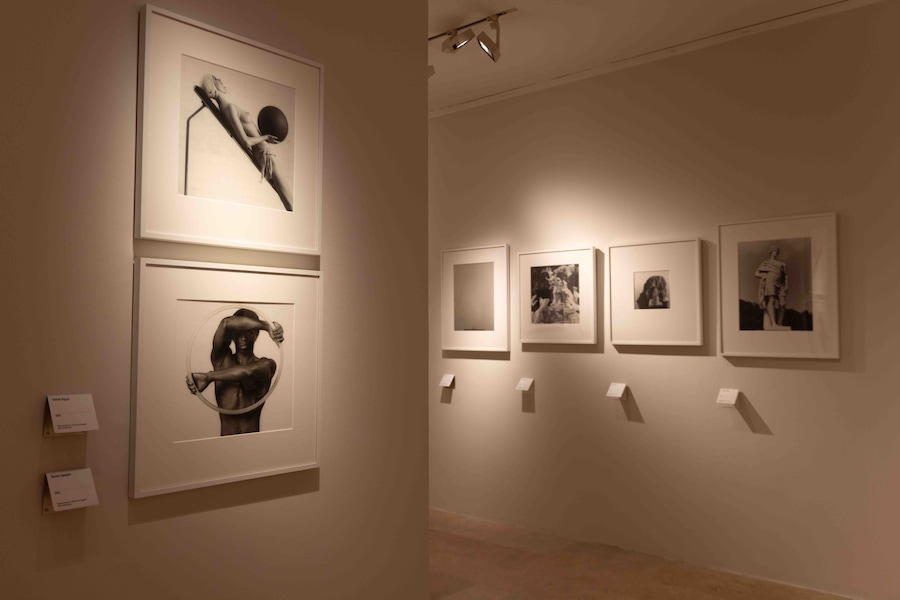AraPacis_Robert Mapplethorpe (Wps)