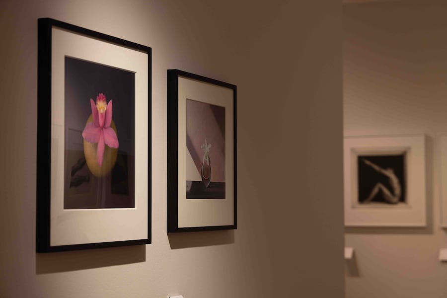 AraPacis_Robert Mapplethorpe (Wps)
