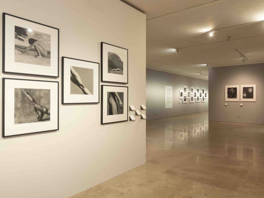Robert Mapplethorpe in search of classical perfection - Il Sole 24 ORE