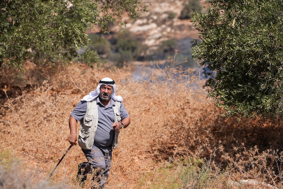 Un palestinese corre mentre le fiamme divampano dagli uliveti in fiamme che, secondo i palestinesi, sarebbero stati appiccati dai coloni israeliani, a Burqa, nella Cisgiordania occupata da Israele, il 17 settembre 2026. (REUTERS)