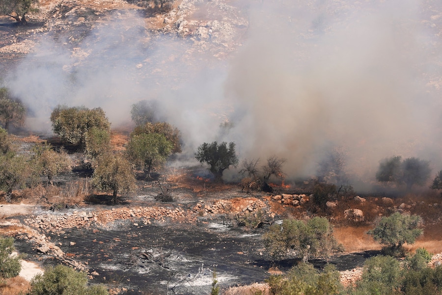 Il fumo si alza dagli uliveti in fiamme che, secondo i palestinesi, sarebbero stati appiccati da coloni militanti israeliani, a Burqa, nella Cisgiordania occupata da Israele, il 17 settembre 2026. (REUTERS)