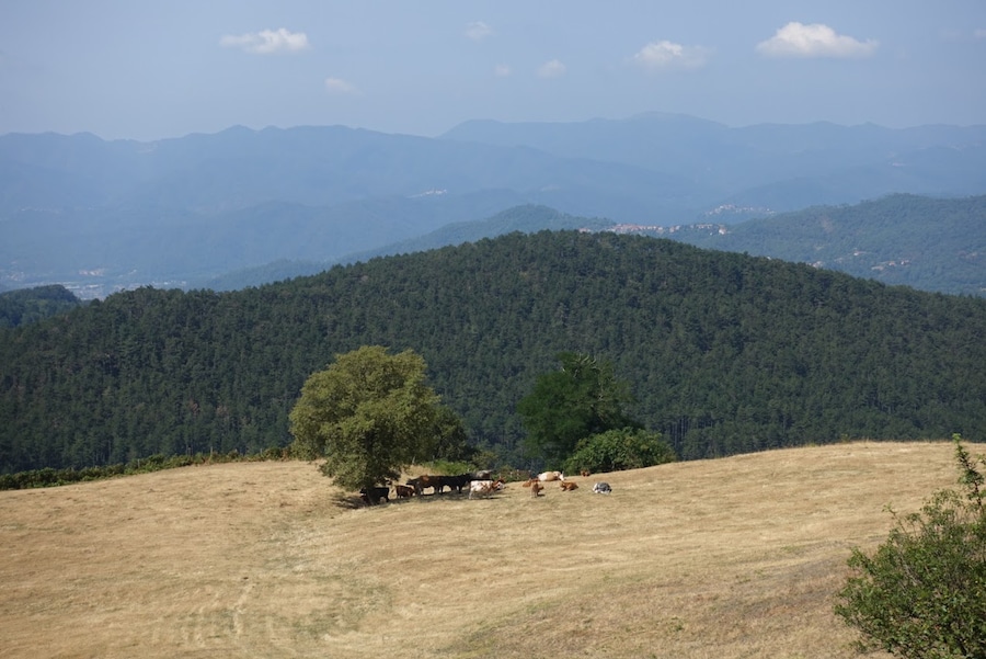 Dall’Alta Via dei Monti Liguri